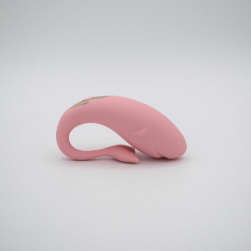 Orcasm Remote Controlled Wearable Egg Vibrator  4