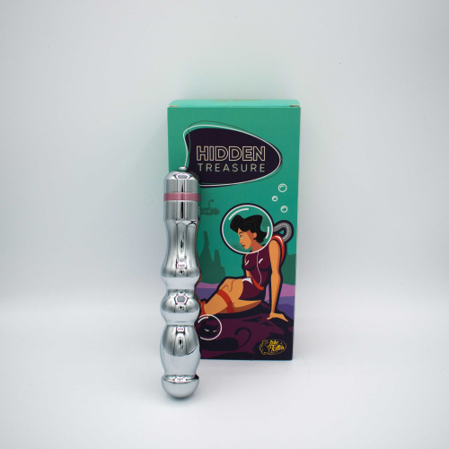 Hidden Treasure Metal Vibrator  4