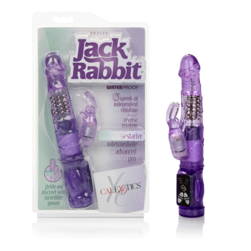 Petite Jack Rabbit - Purple  5