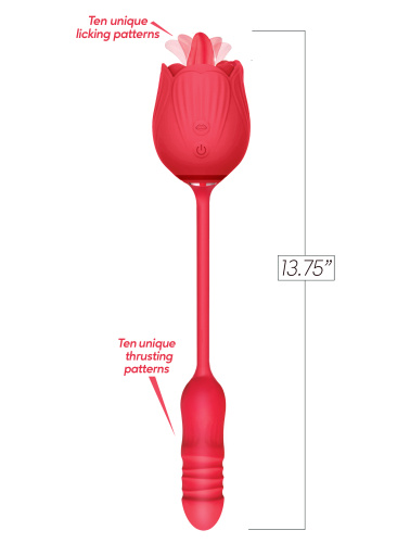 Wild Rose Tonguing Thrusting - Red  2
