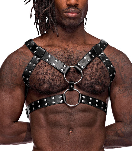 Gemini Leather Harness - One Size - Black  3
