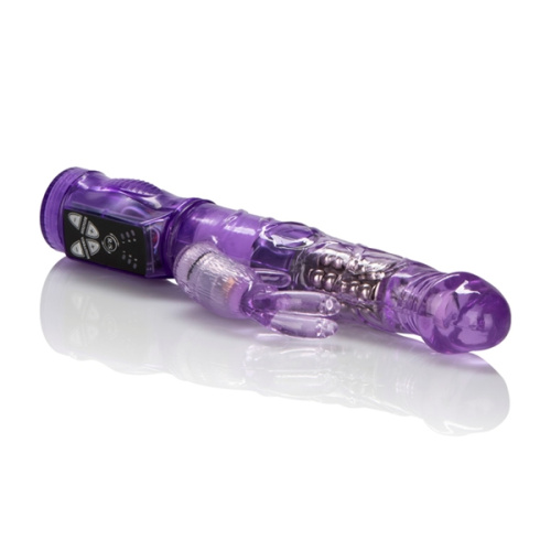 Petite Jack Rabbit - Purple  3