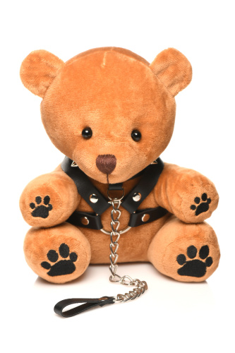 Bondage Pup Bear  5