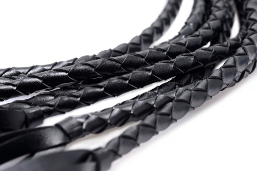 8 Tail Braided Flogger  3