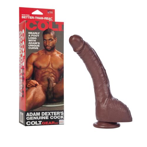 Colt Adam Dexter's Genuine Cock - Brown  3