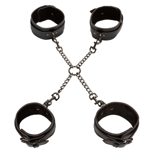 Euphoria Collection Hog Tie - Black  5