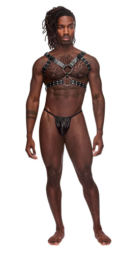 Gemini Leather Harness - One Size - Black  3