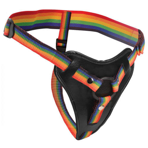 Take the Rainbow Universal Harness  2