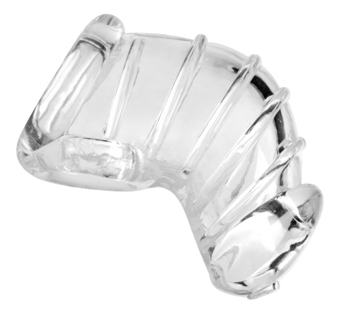 Detained Soft Body Chastity Cage  3