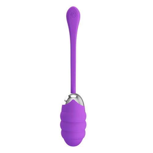 Pretty Love Franklin Rechargeable Egg Vibe - Purple  3