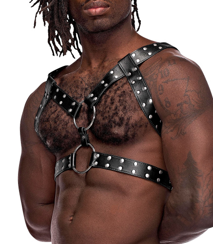 Gemini Leather Harness - One Size - Black  2