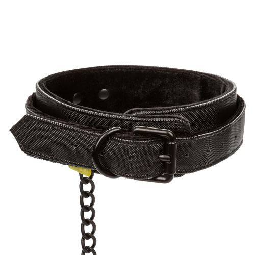 BOUNDLESS COLLAR & LEASH  4