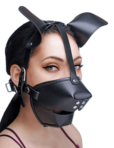 Pup Puppy Play Hood and Breathable Ball Gag  3