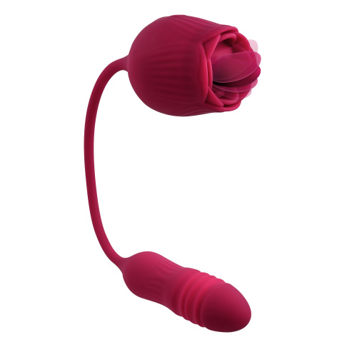 Wild Rose - Red  2