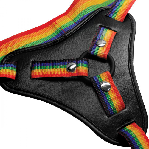 Take the Rainbow Universal Harness  4