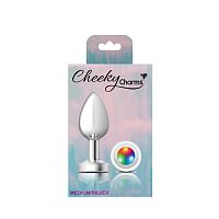 Light Up Silver Metal Plug - Medium