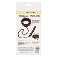 BOUNDLESS COLLAR & LEASH