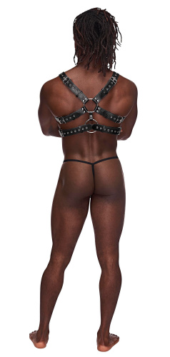 Gemini Leather Harness - One Size - Black  4