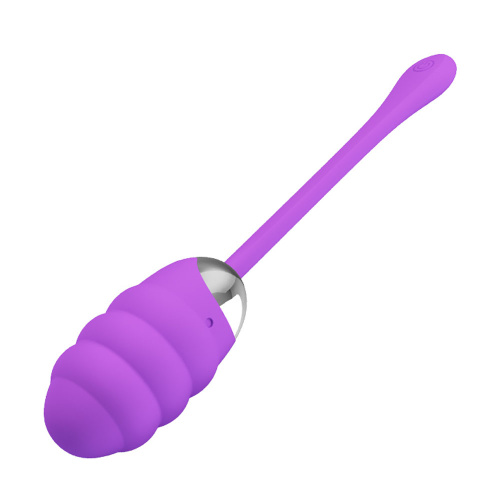 Pretty Love Franklin Rechargeable Egg Vibe - Purple  2