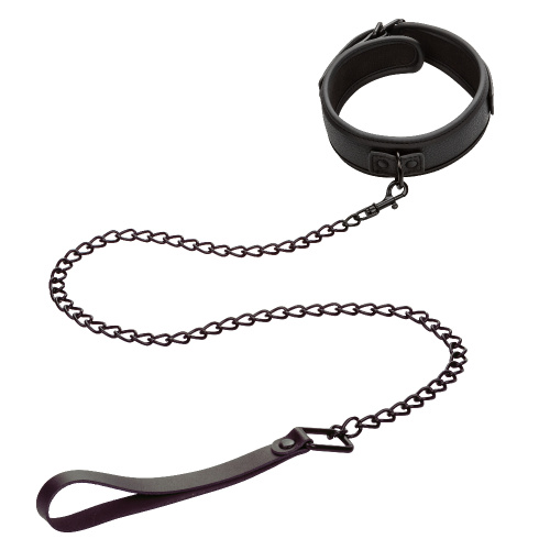 Nocturnal Collection Collar and Leash - Black  4