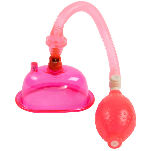 Pussy Pump in a Bag - Pink  3
