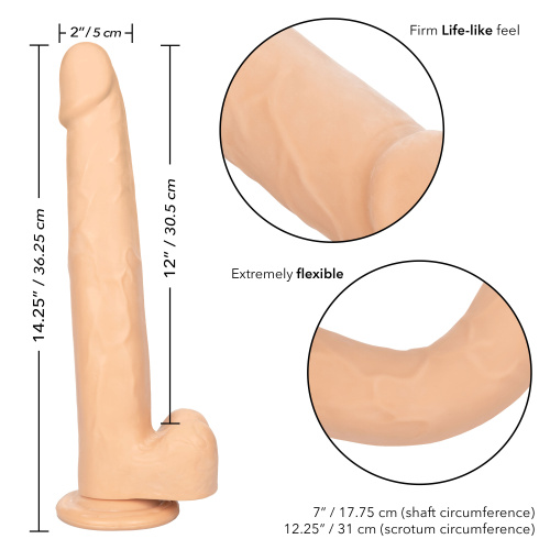 Size Queen 12 inch/30.5 Cm - Ivory  3