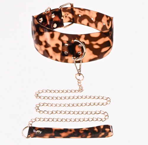 Sincerely Amber Collar With Leash  5