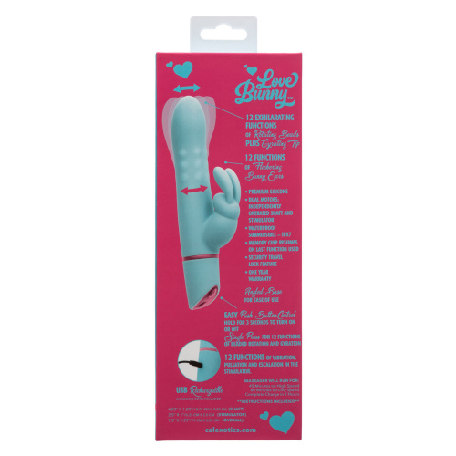 Love Bunny Rotating Bunny - Blue  2