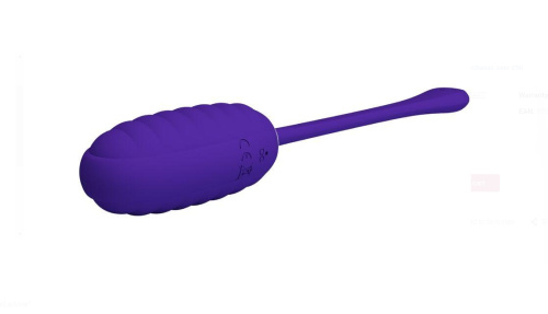 Kirk Rechargeable Vibrating Egg - Purple  3