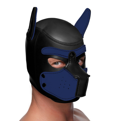 Spike Neoprene Puppy Hood - Blue  2