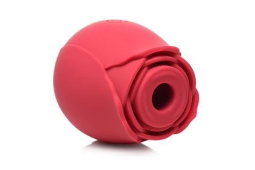 The Rose Lover's Gift Box Bloomgasm - Red  4