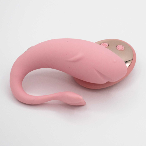 Orcasm Remote Controlled Wearable Egg Vibrator  5