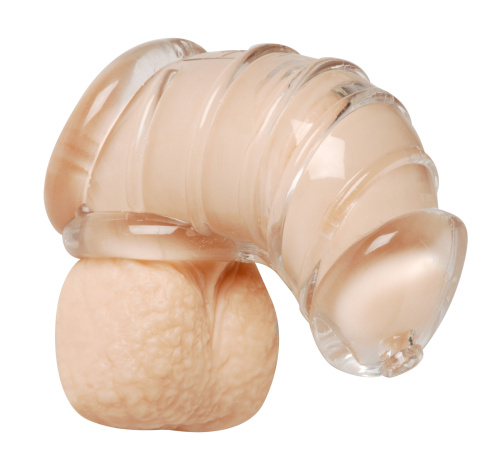 Detained Soft Body Chastity Cage  2