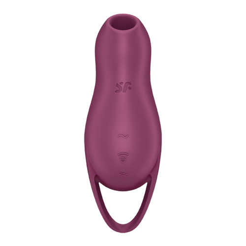Pocket Pro 1 - Berry  2