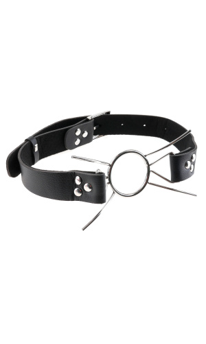 Fetish Fantasy Extreme Spider Gag  2