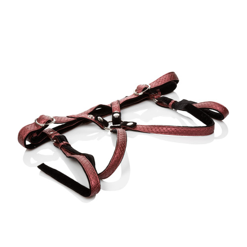 Her Royal Harness the Regal Duchess - Red  2