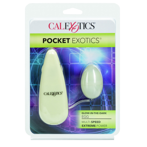 Pocket Exotics Glow-in-the-Dark Egg  3