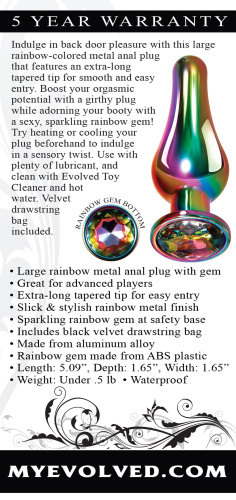 Rainbow Metal Plug - Large  2