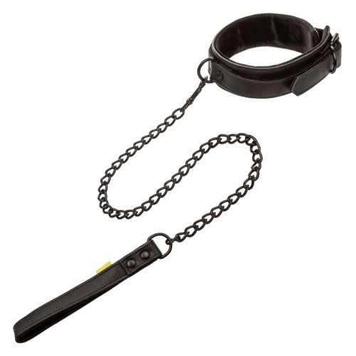 BOUNDLESS COLLAR & LEASH  3