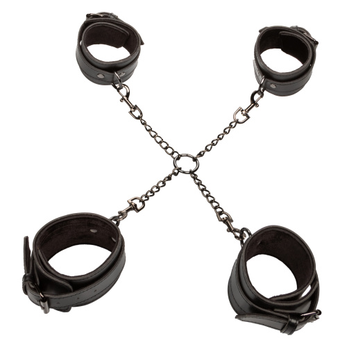Euphoria Collection Hog Tie - Black  4