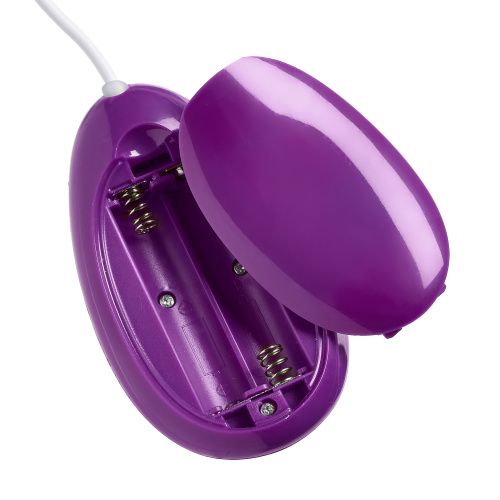Cloud 9 3 Speed Bullet With Remote - Purple  4