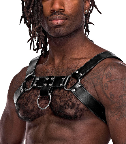 Aries Leather Harness - One Size - Black  2