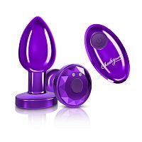 Vibrating Purple Metal Remote Plug - Medium