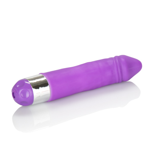 Shane's World Silicone Buddy - Purple  3