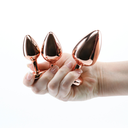 Rear Assets - Trainer Kit - Rose Gold  4