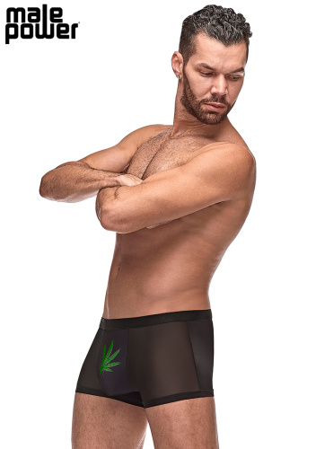 Private Screening Pot Leaf Pouch Short Black  3
