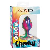 Cheeky Medium Tie-Dye Plug