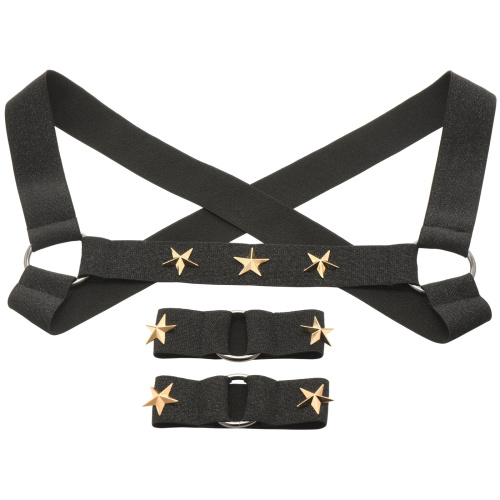 Star Boy Male Chest Harness With Arm Bands -  Large/xlarge - Black  5