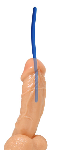 Invasion Silicone Urethral Sound Trainer Set  4