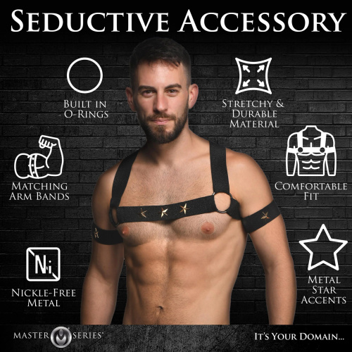 Star Boy Male Chest Harness With Arm Bands - Large/xlarge - Black  3